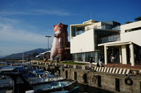 屏東看海美術館有喵 14公尺高充氣擁抱貓咪登台