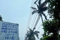 小人國旁逾6百戶停電7分鐘  外物掉落觸線路釀禍