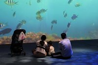 科博館攜手海委會 中台灣海洋保育教育中心7月揭牌