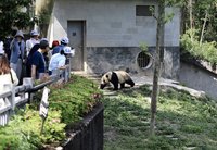 中國貓熊外交再啟 雲川與鑫寶將旅美10年