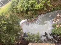 資收場排清潔劑污水釀魚群死亡  竹縣環保局開罰