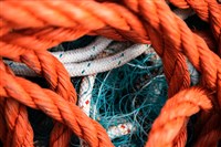 報告：中國遠洋漁業存在非法捕撈與剝削船員