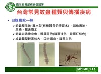 嘉縣影像創作者大戰蚊子 40分鐘滅上百隻嚇到眾人