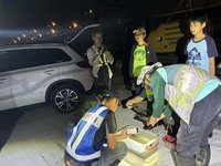 海蟾蜍入侵鳥嘴潭人工湖 志工隊1夜抓萬隻幼體