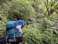 插天山自然保留區歷經2年調查 新增逾百植物種類