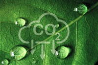 澳洲訂2050年實現淨零碳排 仍將繼續開採天然氣