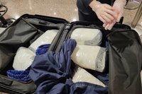 加拿大女子假觀光真運毒  航警與台北關攜手逮人