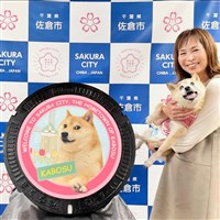 狗狗幣、迷因Doge本尊柴犬過世 全球粉絲哀悼