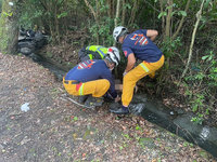 花蓮女子疑服藥後騎機車 自撞路樹跌入排水溝身亡