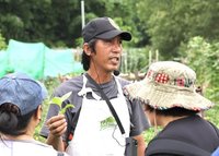 新北原住民食農教育體驗  吃傳統飯糰學野菜知識