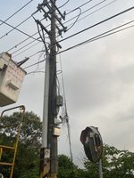 竹市香山鼠害致1300戶停電 台電估晚間9時前復電