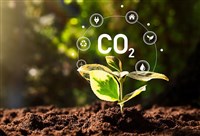 自然碳匯有望新增 竹林、森林經營方法學審查中