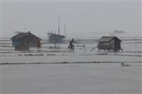 強烈氣旋襲孟加拉和印度 至少65死