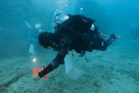 6/1世界珊瑚日 海保署攜手潛水教練成立特潛聯盟