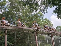 六福村空中腳踏車故障 園方拿長梯助女遊客脫困