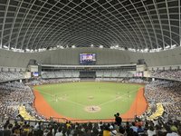 兄弟台北大巨蛋主場票房開紅盤 15日接近3萬人