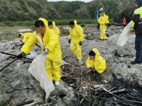 受刑人搶救生態護綠島 獲海保署貢獻楷模獎