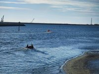機車停路旁外送員疑台中港戲水失聯 消防海巡搜尋