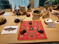 南投罕病「甲蟲少年」展  分享搏鬥疾病心路歷程