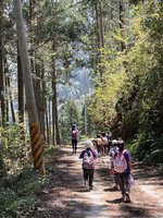 南投人倫林道資源多元 林保署攜手民間發展生態旅遊