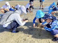 種植海草與沙蟹種苗放流  盼增裕澎湖海洋資源