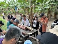 高雄旗山糖廠、六龜新發社區 農村競賽獲銀銅牌