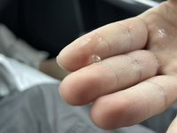 合歡山連2天下冰雹 台21線水里路段樹倒阻交通