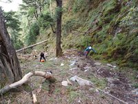 60歲男隨隊攀南投卓社大山 摔落邊坡20公尺傷重身亡
