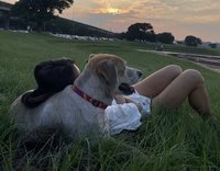 新北動保處給優惠  鼓勵認養大型犬或成犬