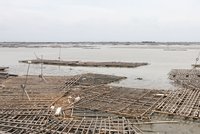 颱風凱米靠近 嘉縣府呼籲畜牧漁業做好防颱準備