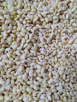 農改場開發2款新品  推出發芽豆漿及豆粉