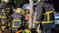 苗栗市路樹倒塌 婦人以車為家受困驚險獲救