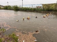 雲林水林男童失足落水  20多人搜救無所獲