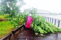 颱風過後故宮南院僅樹木傾倒  27日恢復營運