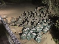 台南八掌溪後壁段溢堤 15公尺破口完成封堵