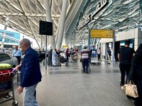 以色列爆發西尼羅熱疫情 埃及加強入境衛生監控