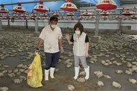 台南颱風農損大 立委盼提高補助及國軍支援人力