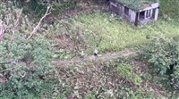 搜救成大教授卻不下山 屏消防局：確保安全不收費