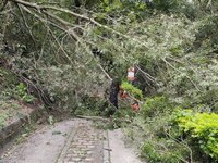 進出道路積極搶修  南投奧萬大8/10重新開園