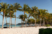 星宇航空將開航台中至富國島 10/27起每天1班