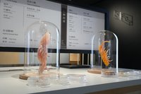 末日學校特展 3D列印「超級鞭」探索中藥與生態保育