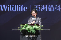 出席貓科復興紀綠片首映 副總統盼傳遞台灣保育形象