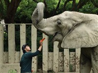 保育員與動物情同父女 壽山動物園致敬超級奶爸