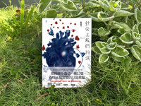 楊凱丞寫「針尖上我們扮演」 透視檢驗師的寂寞心靈