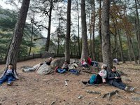 南投奧萬大推森林療癒 助遊客為壓力找解方