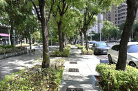 高市淨零城市發展自治條例  3面向推動綠色城市