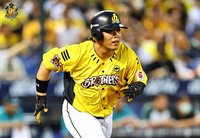 兄弟團隊3轟擊退雄鷹  陳子豪敲超前安獲MVP