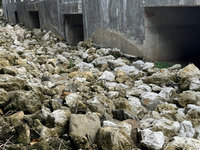 墾丁打造生態廊道3.0  保護陸蟹穿越馬路