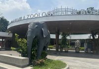 馬尼拉動物園添幼獅 善待動物組織憂難妥善照護