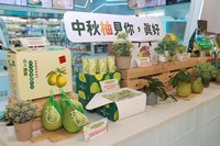 國產文旦深入連鎖通路 上架統一超商、i划算平台